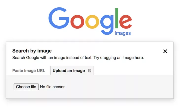 What is Google Reverse Image Search and How to Use It?