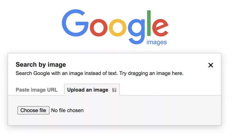 Google Reverse Image Search