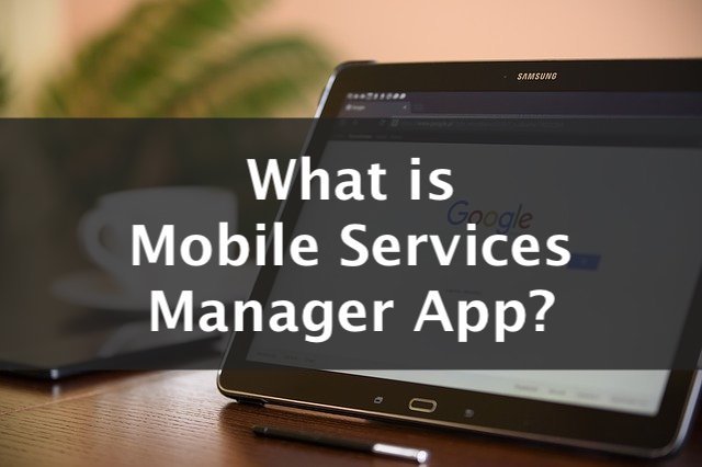 What is a Mobile Services Manager? All You Need to Know About It?