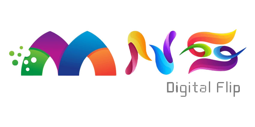 MNS Digital Flip: A Digital Marketing Company Full Review