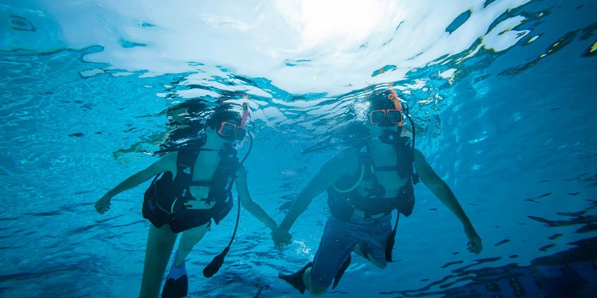 The 3 Factors to Consider For A Scuba Diving Vacation