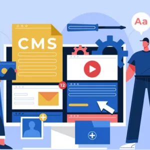 Which Platform is the Best CMS for You?
